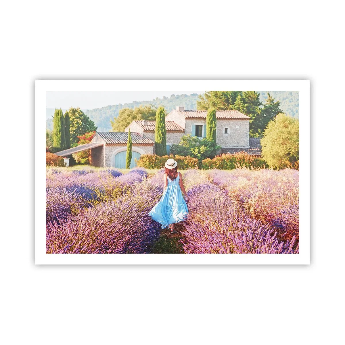 Poster - La ragazza nella lavanda - 91x61 cm