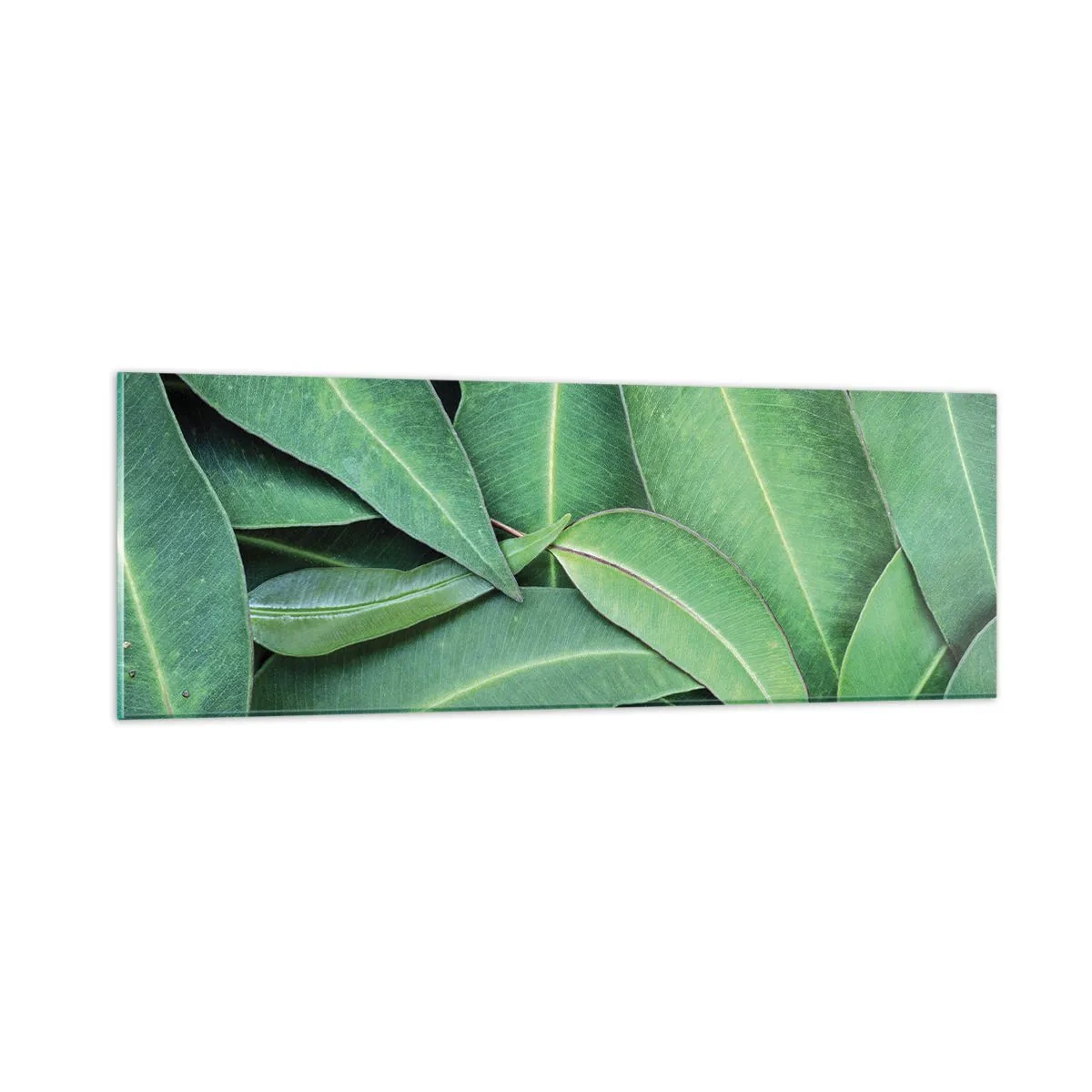 Quadro su vetro - Succosi e freschi - 90x30 cm