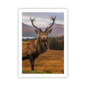 Poster - Fotografia di un cervo sullo sfondo di un paesaggio montano - 50x70cm - Maestà della natura - Decorazione murale moderna per soggiorno e camera da letto ARTTOR