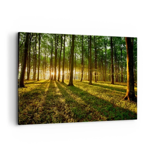 Quadro su tela - Stampe su Tela - Il sole al tramonto nella foresta decidua - 120x80cm - La foto di ogni primavera - Decorazione murale moderna per soggiorno e camera da letto ARTTOR
