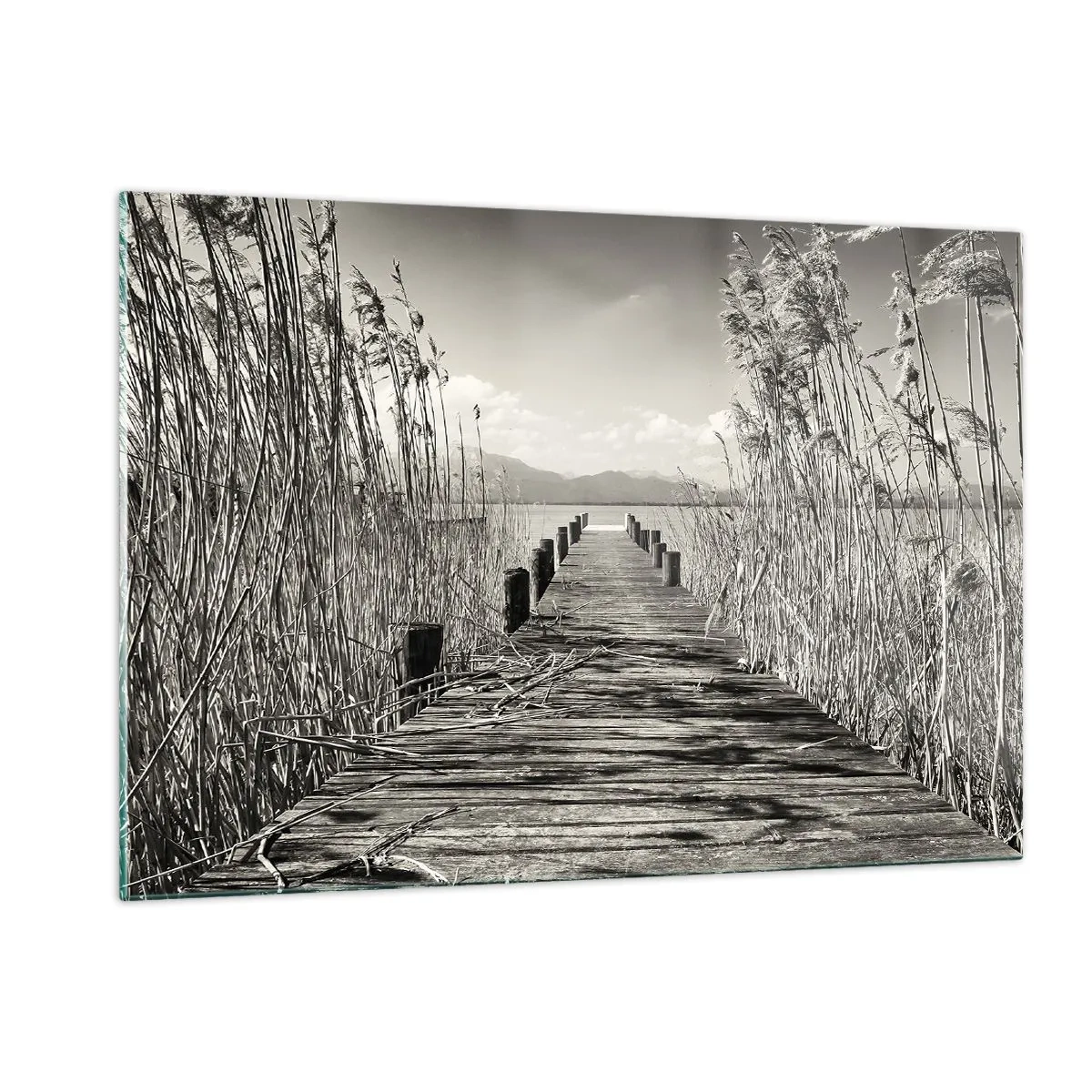 Quadro su vetro - Un ponte di legno attraversa l'erba e attraversa un lago tranquillo. - 120x80cm - Nel silenzio dell'erba - Decorazione murale moderna per soggiorno e camera da letto ARTTOR