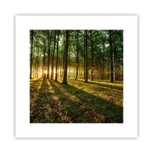 Poster - La foto di ogni primavera - 30x30 cm