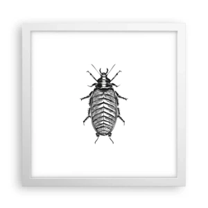 Poster in cornice bianca - Che esemplare! - 30x30 cm