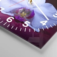 Quadrante con numeri