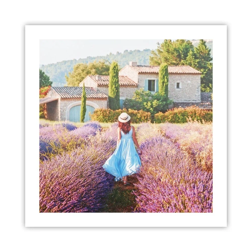 Poster - La ragazza nella lavanda - 50x50 cm