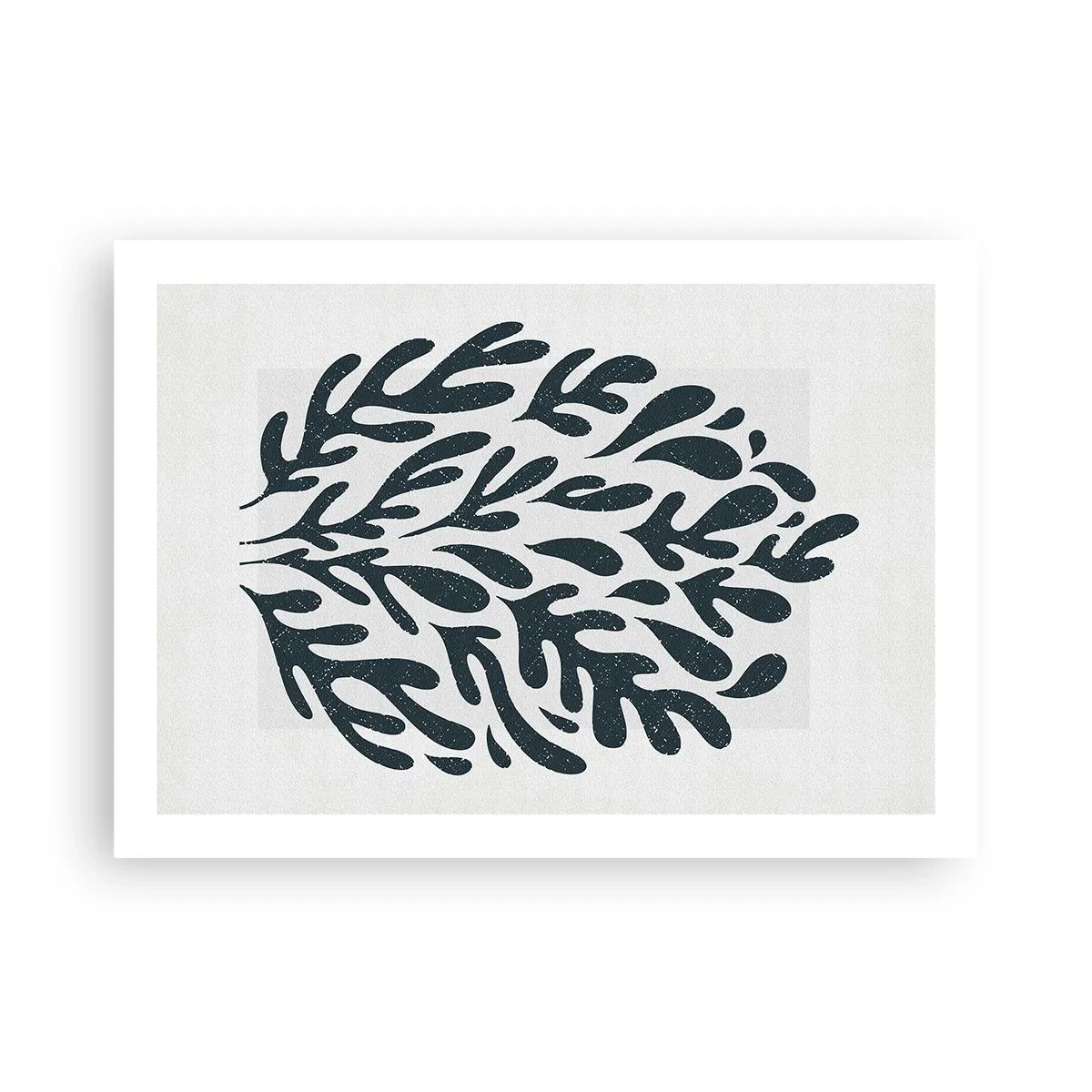 Poster - Le forme della natura - 70x50 cm
