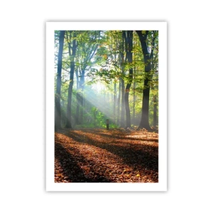 Poster - Raggi di sole nella foresta autunnale - 50x70cm - Luci e ombre - Decorazione murale moderna per soggiorno e camera da letto ARTTOR