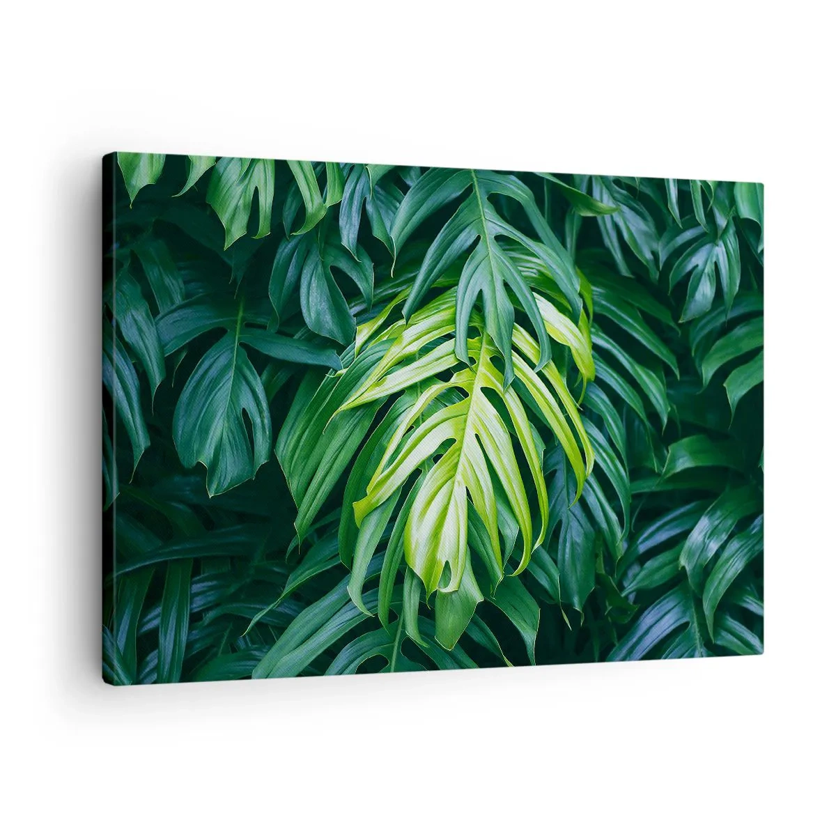 Quadro su tela - Stampe su Tela - Foglie verdi in una fitta disposizione tropicale - 70x50cm - Immergersi nella freschezza - Decorazione murale moderna per soggiorno e camera da letto ARTTOR