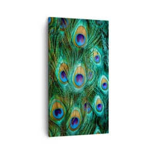 Quadro su tela - Stampe su Tela - Lo sguardo del pavone - 45x80 cm