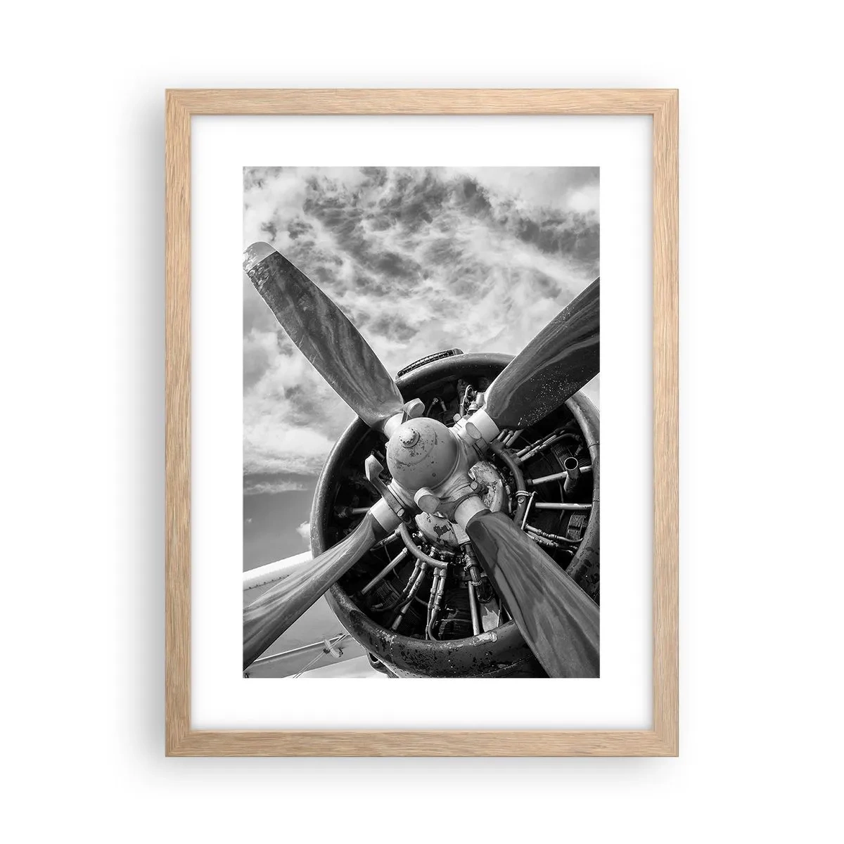 Poster in cornice rovere chiaro - Il dominatore dell'aria - 30x40 cm