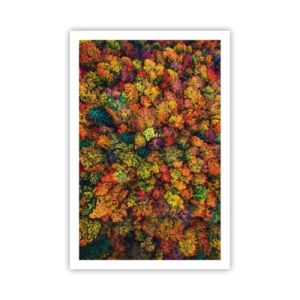 Poster - Il bouquet degli alberi d'autunno - 61x91 cm