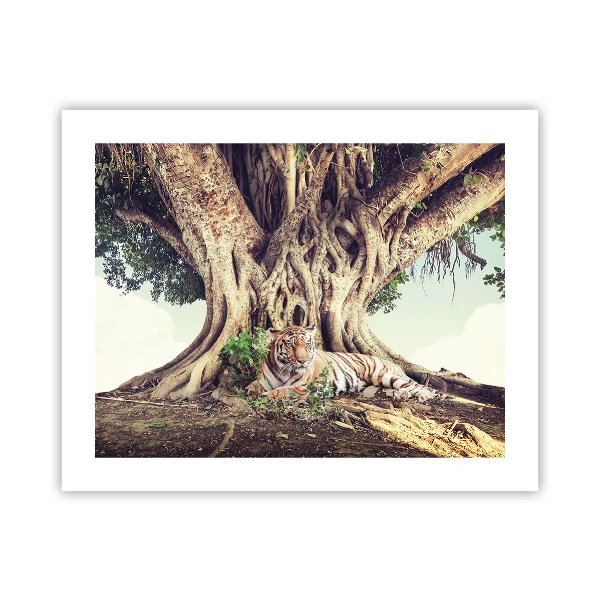 Poster - Vista dal Libro della Genesi - 50x40 cm