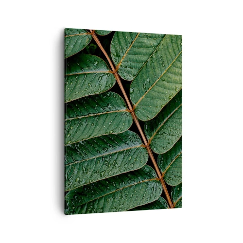Quadro su tela - Stampe su Tela - Macro di foglie verdi con gocce di rugiada - 50x70cm - Al ritmo verde - Decorazione murale moderna per soggiorno e camera da letto ARTTOR