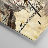 Quadrante con trattini