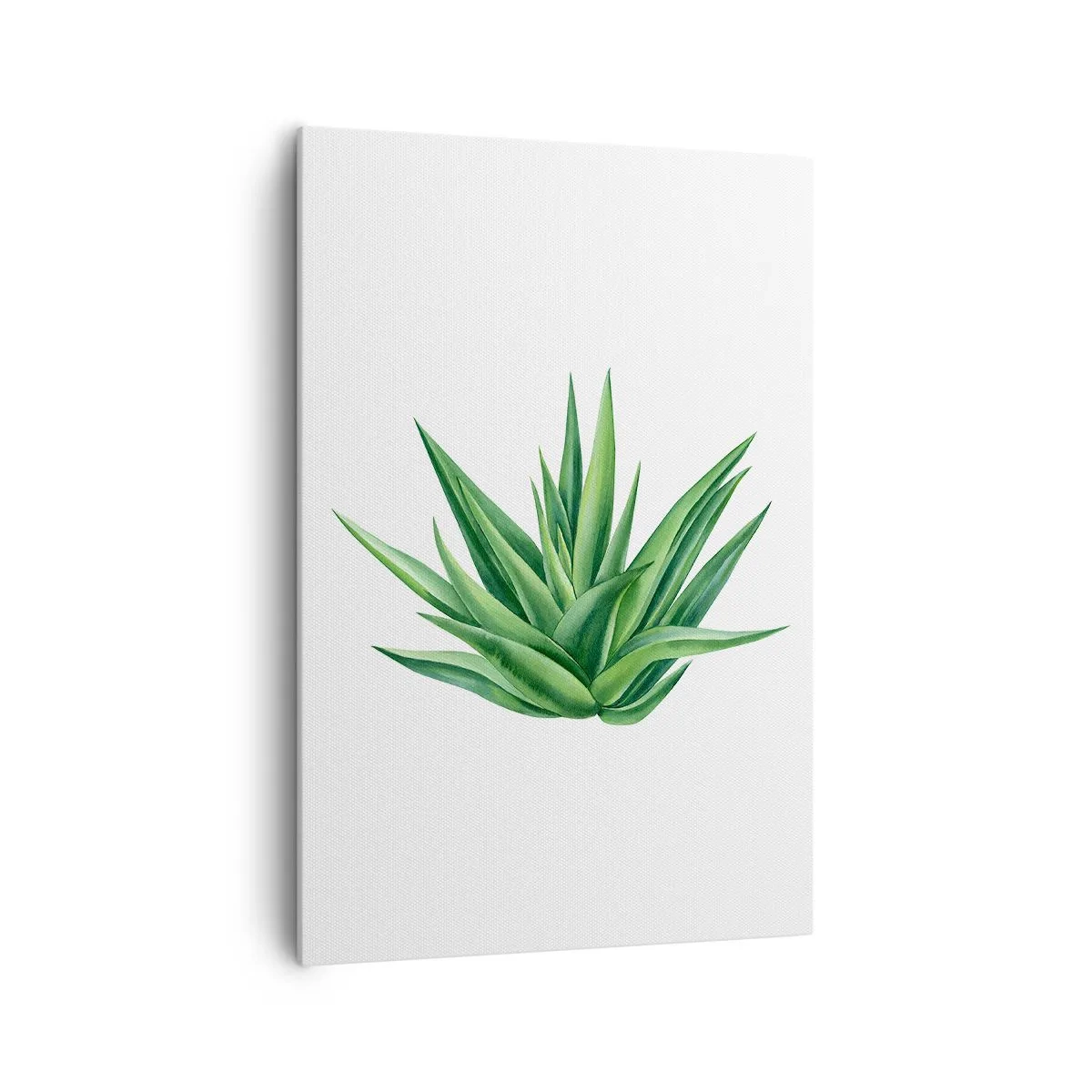Quadro su tela - Stampe su Tela - Una pianta verde succosa su uno sfondo bianco - 70x100cm - Verde - forza - vita - Decorazione murale moderna per soggiorno e camera da letto ARTTOR
