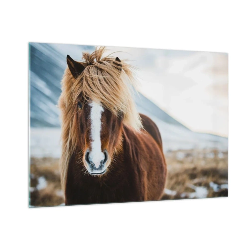 Quadro su vetro - Un cavallo sullo sfondo di un paesaggio montano invernale - 100x70cm - Senti la libertà? - Decorazione murale moderna per soggiorno e camera da letto ARTTOR