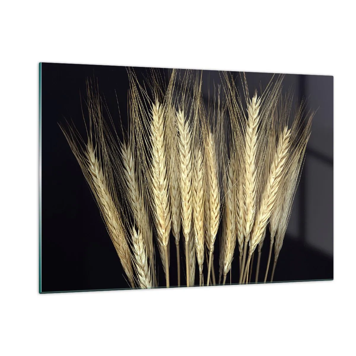 Quadro su vetro - Grana dai toni caldi su sfondo nero - 120x80cm - Magia rustica - Decorazione murale moderna per soggiorno e camera da letto ARTTOR