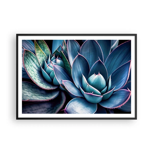 Poster in cornice nera - Agave nelle tonalità del blu e del verde con accenti rosa - 100x70cm - Forza vitale - Decorazione murale moderna per soggiorno e camera da letto ARTTOR