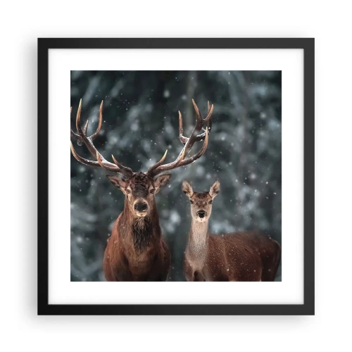 Poster in cornice nera - Il re della foresta con la consorte - 40x40 cm