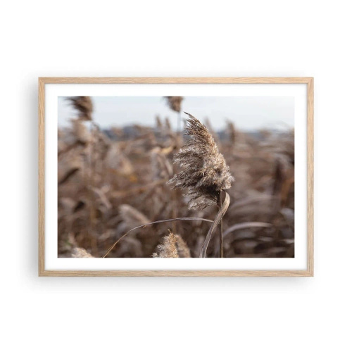 Poster in cornice rovere chiaro - è tempo di volare col vento - 70x50 cm