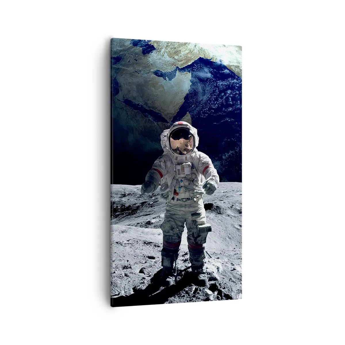 Quadro su tela - Stampe su Tela - Saluti dalla luna - 55x100 cm