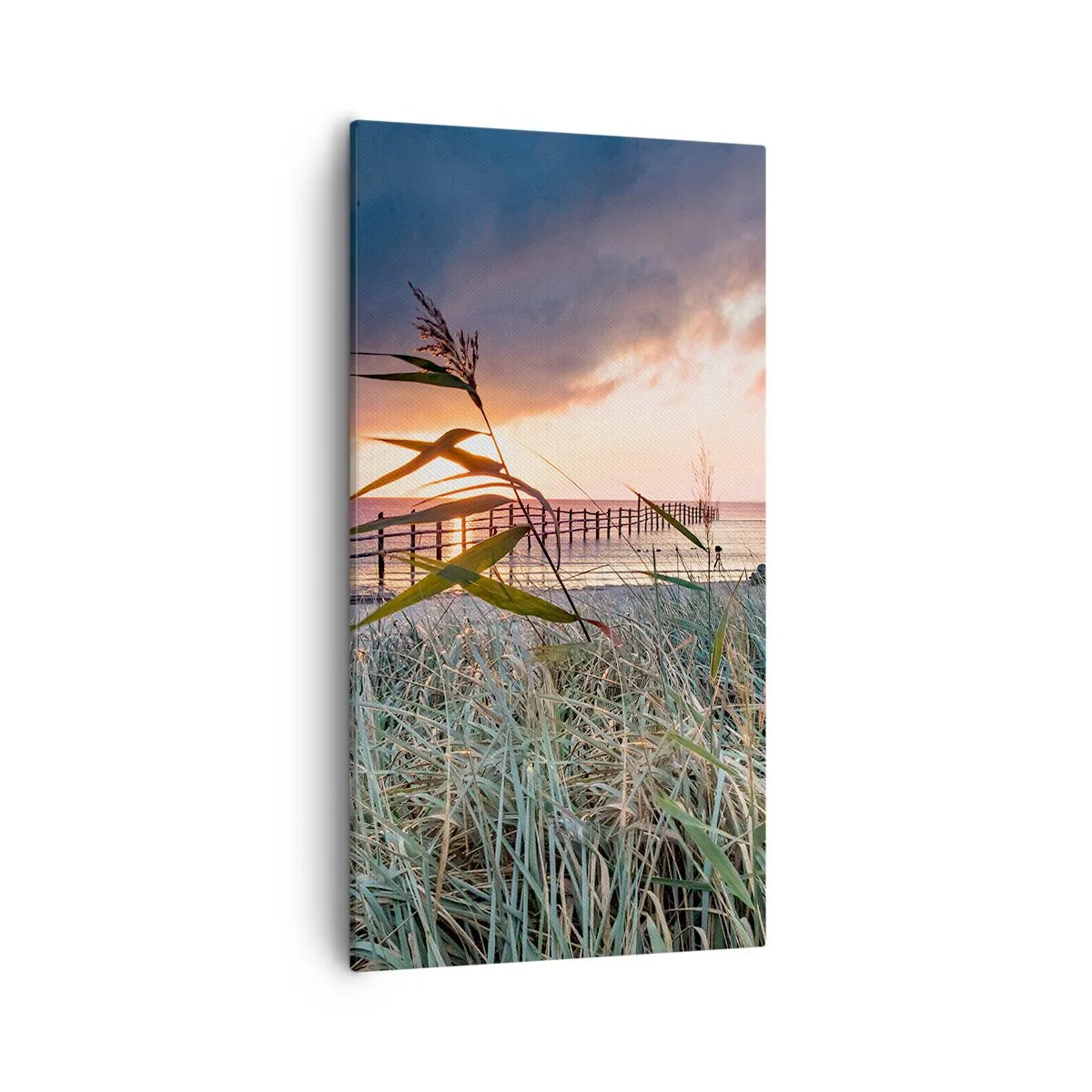 Quadro su tela - Stampe su Tela - Non andrà via col vento - 55x100 cm