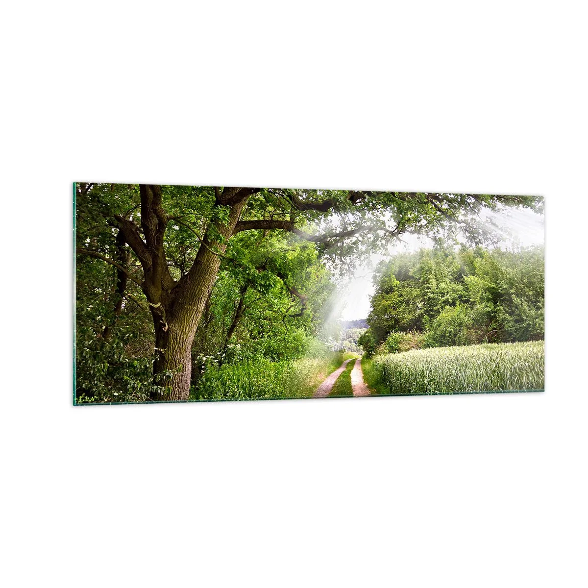Quadro su vetro - Et in Arcadia ego - 100x40 cm
