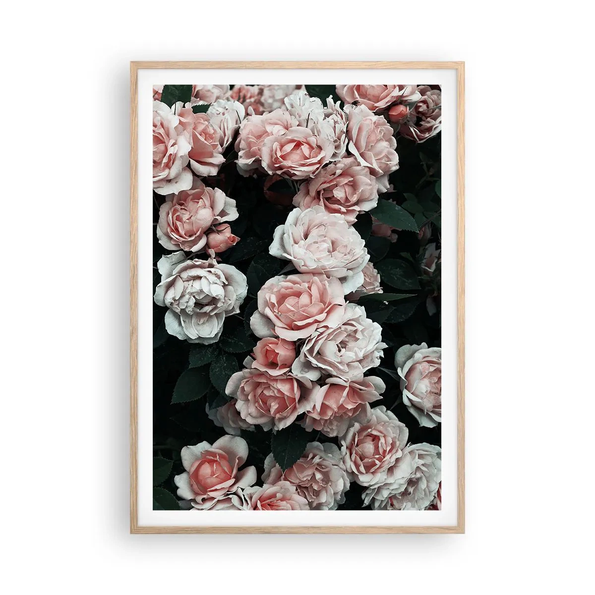 Poster in cornice rovere chiaro - Composizione di rose - 70x100 cm