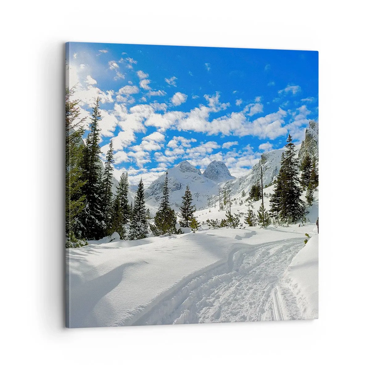 Quadro su tela - Stampe su Tela - Nella neve e nel sole - 60x60 cm