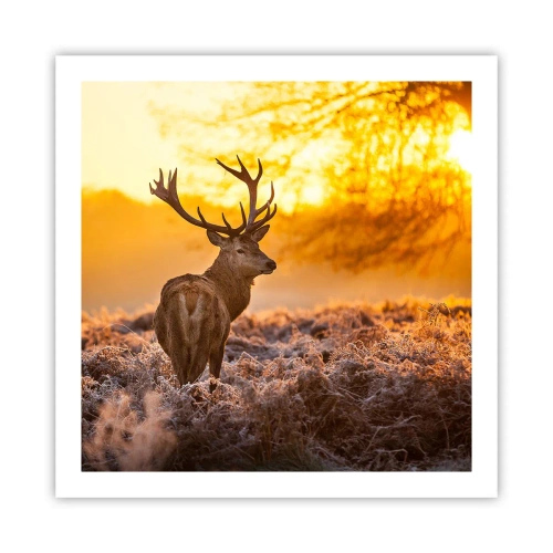 Poster - Il re del bosco estivo - 60x60 cm
