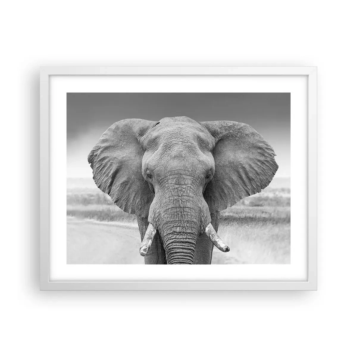 Poster in cornice bianca - Benvenuti nel mio mondo - 50x40 cm