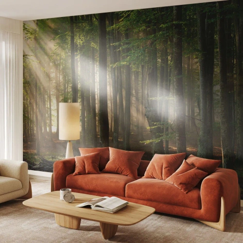 Fotomurali Premium Canvas - Raggiante in un mattino di primavera - Paesaggio, foresta, Parco - 200x140 cm