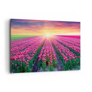 Quadro su tela - Stampe su Tela - Un campo di tulipani al tramonto - 100x70cm - La fattoria della bellezza - Decorazione murale moderna per soggiorno e camera da letto ARTTOR