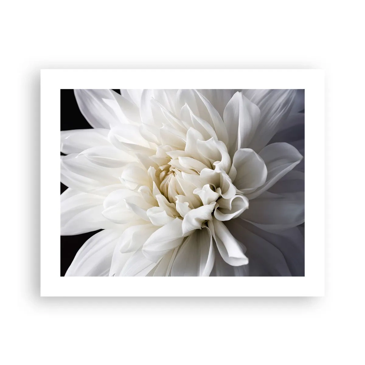 Poster - Il mattino della sposa - 50x40 cm