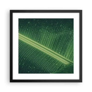 Poster in cornice nera - La struttura del verde - 40x40 cm