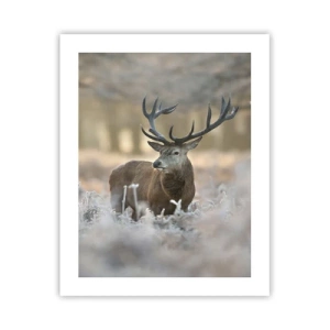 Poster - Fresco mattino - 40x50 cm