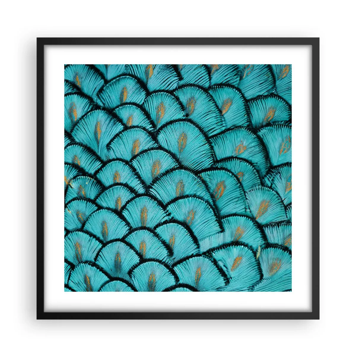 Poster in cornice nera - La grande festa delle piume - 50x50 cm