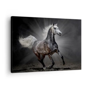 Quadro su tela - Stampe su Tela - Un cavallo bianco al galoppo su uno sfondo scuro - 70x50cm - Grigio è bello - Decorazione murale moderna per soggiorno e camera da letto ARTTOR