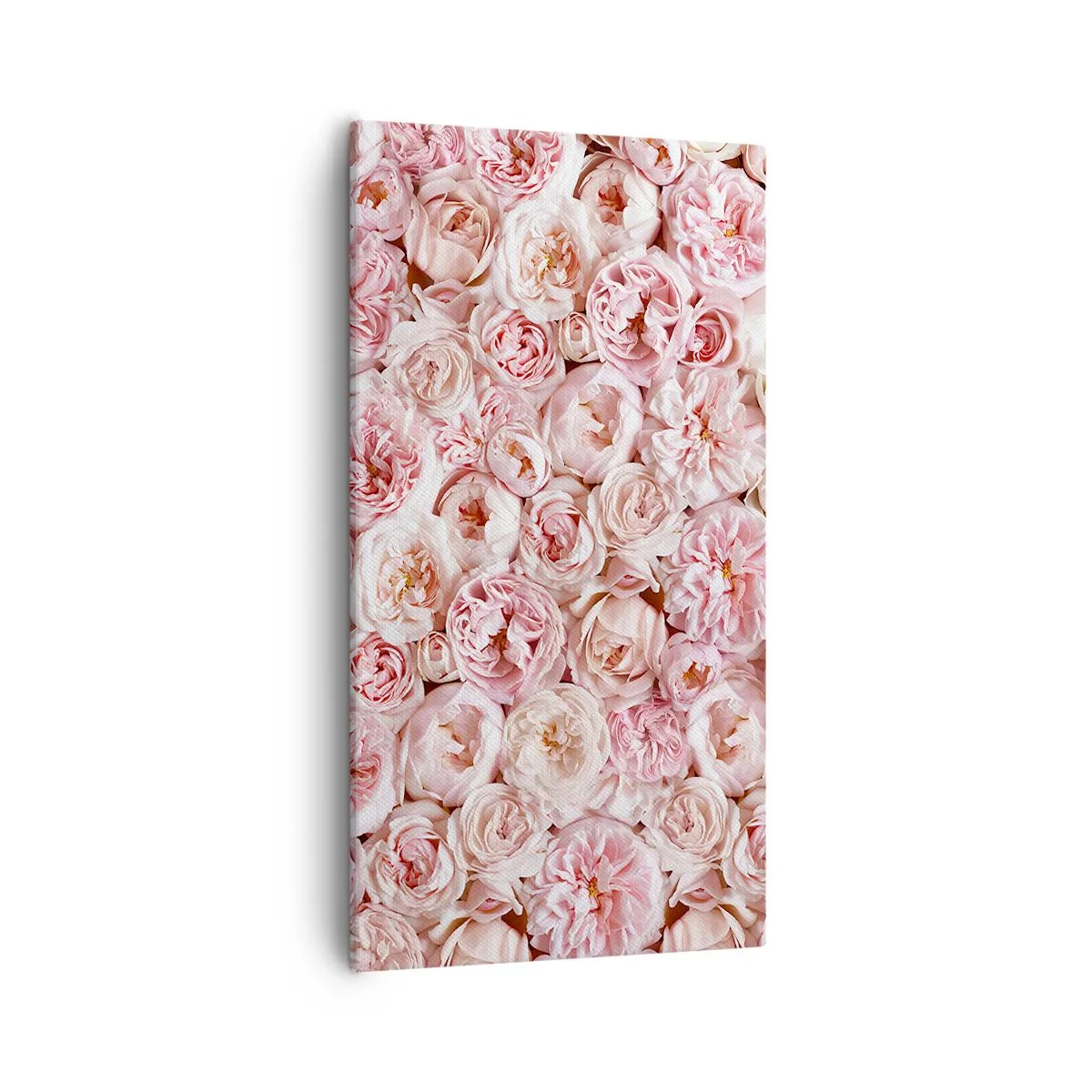 Quadro su tela - Stampe su Tela - Coperto di rose - 55x100 cm