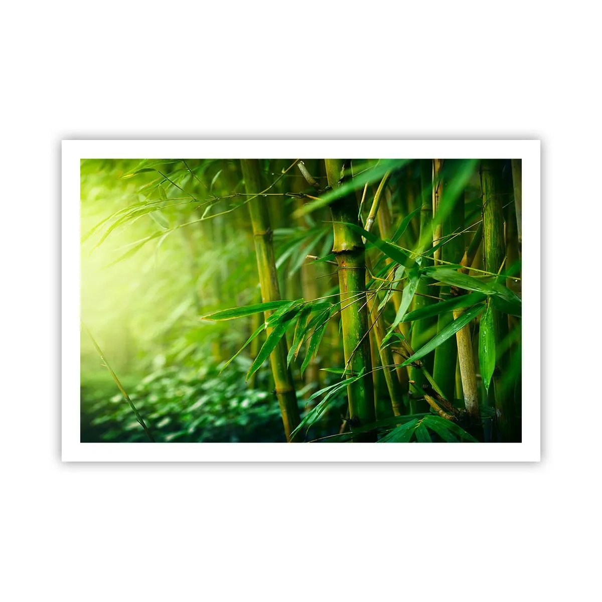 Poster - Conoscere il verde in sé - 91x61 cm