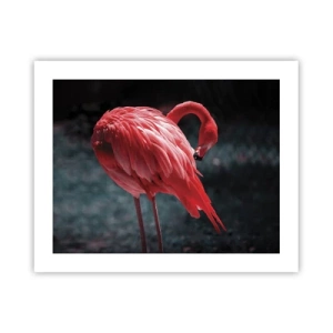 Poster - La poesia cremisi della natura - 50x40 cm