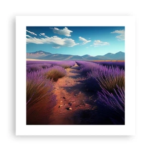 Poster - Campi profumati - 40x40 cm