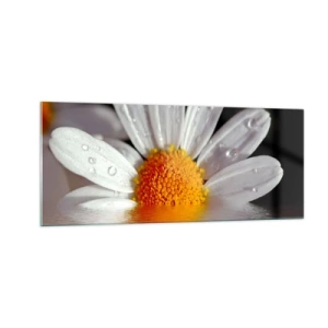 Quadro su vetro - L'alba della margherita - 100x40 cm