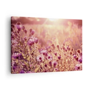 Quadro su tela - Stampe su Tela - Prato alla luce del sole al tramonto - 70x50cm - Prima della fine dell'estate - Decorazione murale moderna per soggiorno e camera da letto ARTTOR