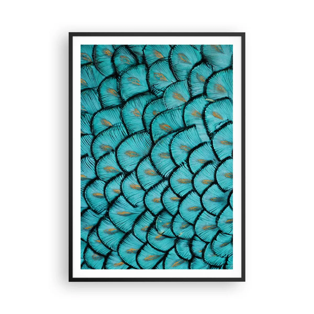 Poster in cornice nera - La grande festa delle piume - 70x100 cm