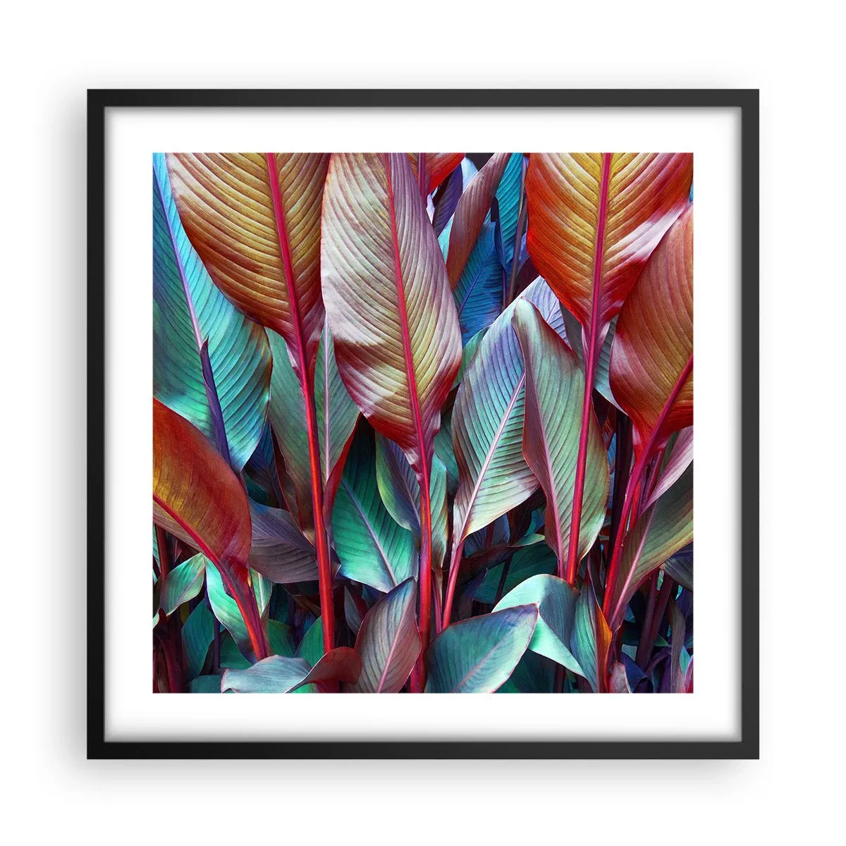 Poster in cornice nera - Selva colorata - 50x50 cm