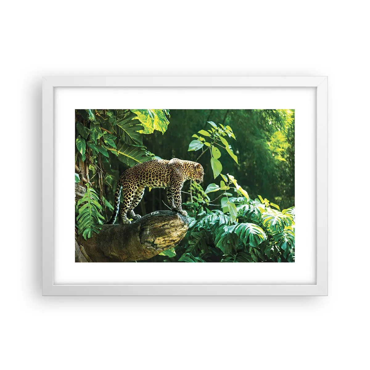 Poster in cornice bianca - A caccia? - 40x30 cm