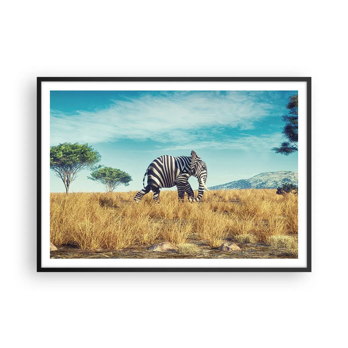 Poster in cornice nera - Zebra in un paesaggio africano - 100x70cm - Il grigio non è più di moda - Decorazione murale moderna per soggiorno e camera da letto ARTTOR