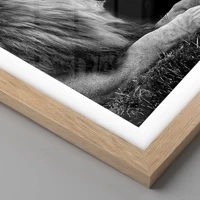 Rovere chiaro