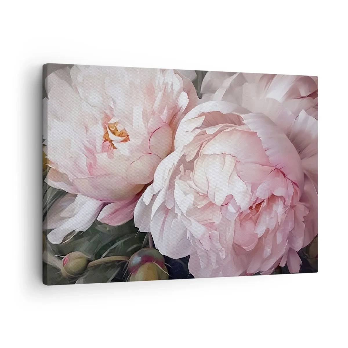 Quadro su tela - Stampe su Tela - Delicate peonie rosa in piena fioritura - 70x50cm - L'attimo della fioritura - Decorazione murale moderna per soggiorno e camera da letto ARTTOR